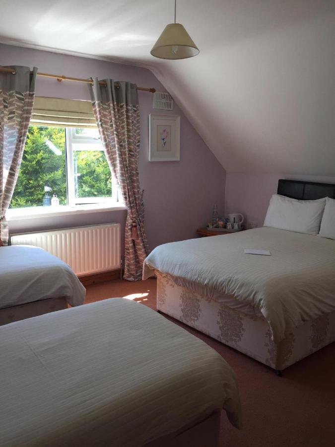 Padua Guest Accommodation Rosslare Rosslare Harbour Exteriér fotografie