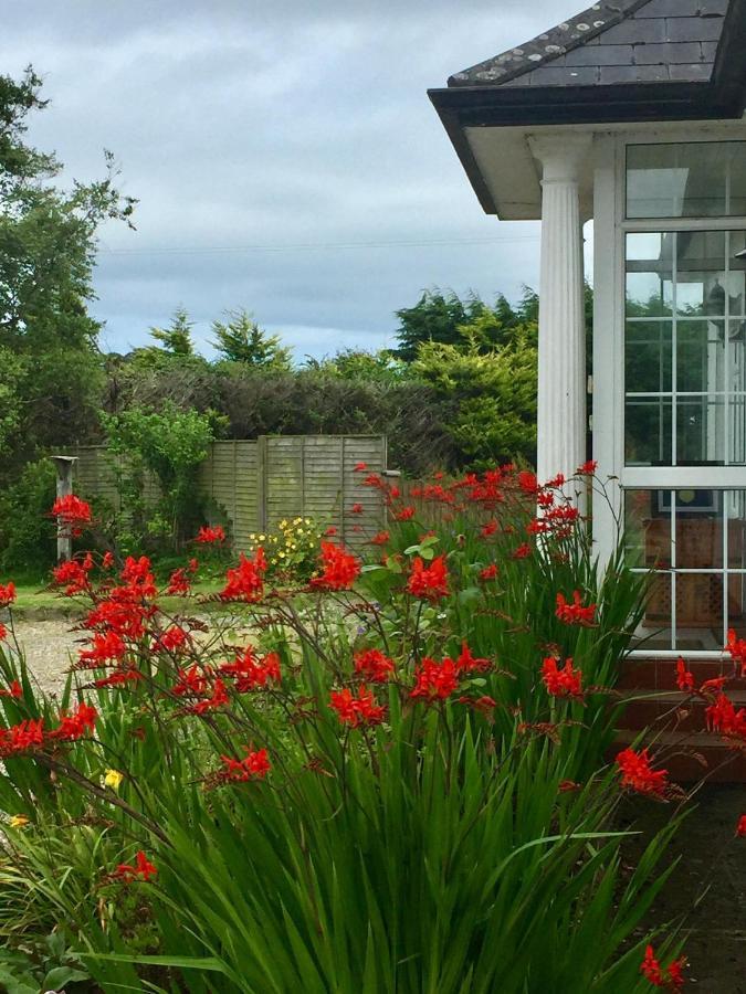 Padua Guest Accommodation Rosslare Rosslare Harbour Exteriér fotografie