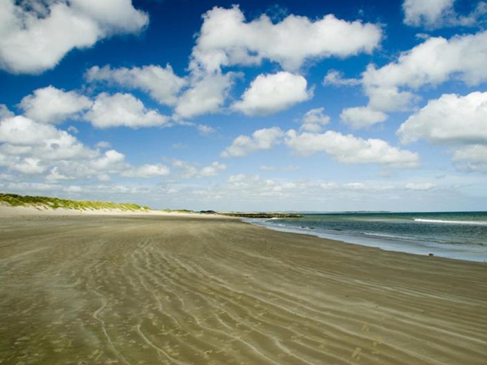 Padua Guest Accommodation Rosslare Rosslare Harbour Exteriér fotografie